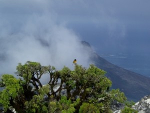 南アフリカ・ヨハネスブルグで両替をしようとした時のトラブル