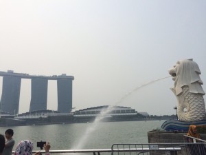 自然豊かで大満足だったシンガポール旅行