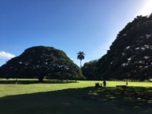 子どもが生まれてからの初海外旅行でハワイへ！